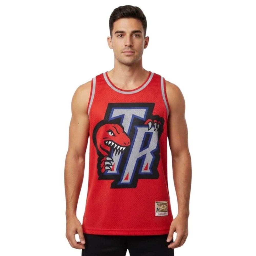 Mitchell & Ness ($195) Toronto Raptors Hardwood Classics Chainstitch Jersey